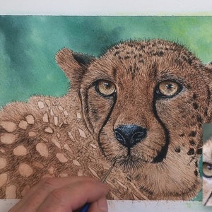 The cheetah is really progressing in this photo, all the medium tone layers are on, and Paul is working on the dark detail around the head.