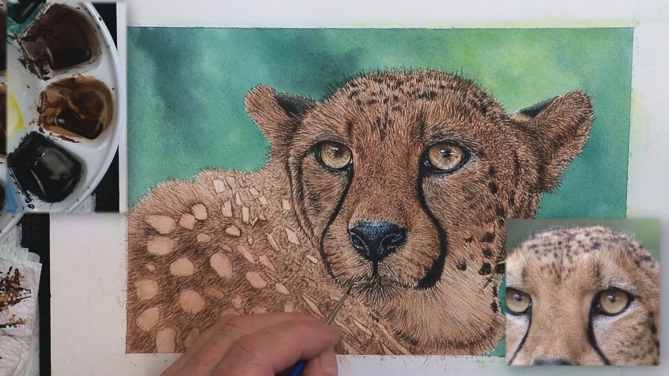 チーターのリアリズム絵画 チーター水彩画チュートリアル：リアルな大型猫のイラスト（PDF