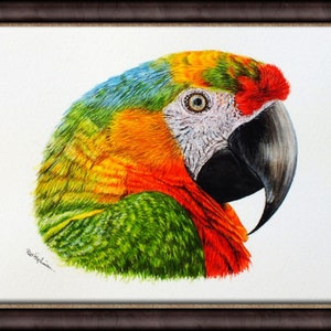 The parrot artwork in a dark frame