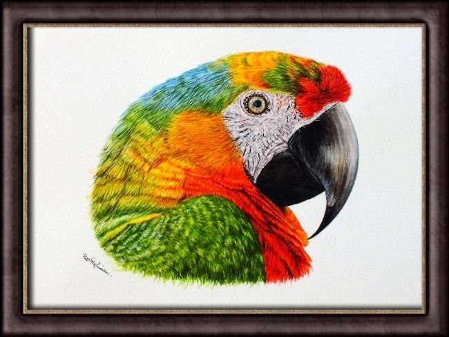 コンゴウインコ　絵画 オリジナルのコンゴウインコの水彩画：細部までこだわった鳥の壁アート