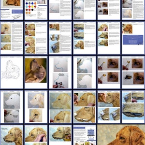 An overview image of the dog watercolour painting lesson.  This shows the pages in the ebook, and how they are laid out.  They include written text alongside work in progress photos of Paul's own painting.