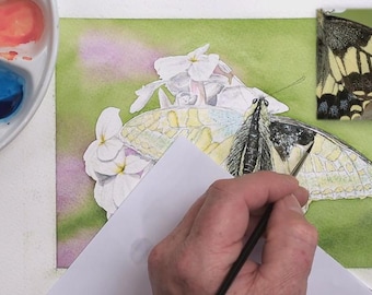蝶の描き方、リアルな蝶のイラスト、水彩画、水彩画のチュートリアル