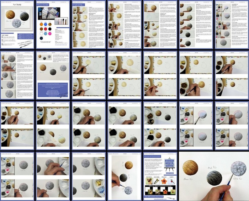 The pages in the fur painting lesson.  These studies are worked on one at a time, and work in progress photos show how to build up the fur in layers from start to finish.