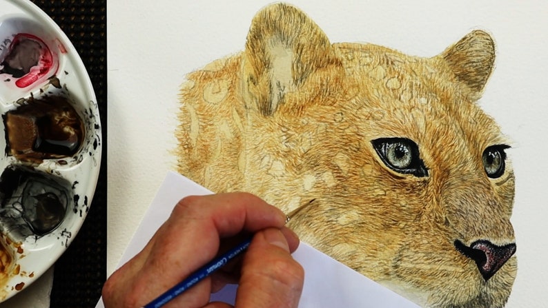 Paul is now working on the fine fur details, which are gradually starting to bring the animal to life.  He is working with a tiny brush, and the lines he has painted are very tiny and slim.