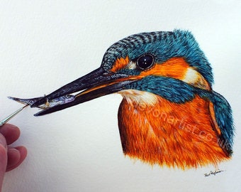Watercolour Painting Lessons, Learn to Paint a Kingfisher in Realistic Watercolor, Illustration Art Course