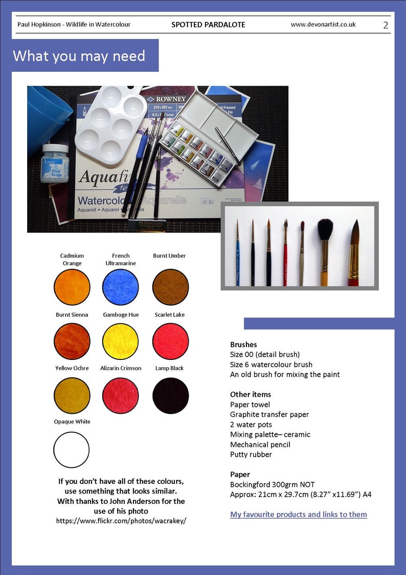 The art supplies needed to paint this small bird in watercolor.  The paints are shown as circular swatches of colour with their name above.  Everything else is listed.