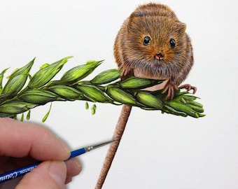 Harvest Mouse-schilderles, Wildlife-schilderklas, gedetailleerde realistische aquarel-tutorial, leer les schilderen in aquarel