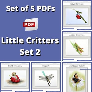 Watercolor Wildlife Illustration Tutorials: 5 E-Book Collection (PDF Download)