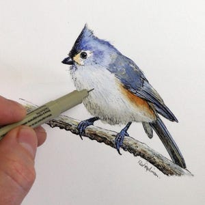 Didacticiel à la plume et au lavis, carte de voeux aquarelle avec mésange capitonnée, aquarelle simple