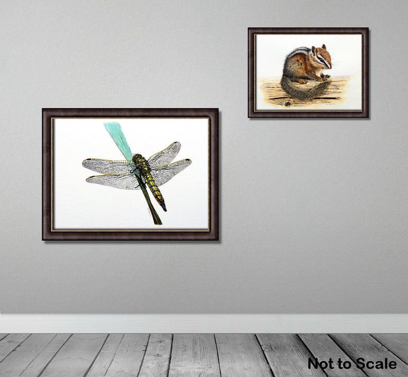 ORIGINAL Watercolour Dragonfly Painting, Realistic Wildlife Watercolor Art, Illustration Fine Art Detail, Animal Wall Art, Insect Gift image 6