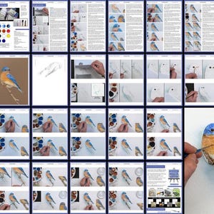 A collage image showing all the pages in the bird painting lesson.  These are laid out in order, and the many photos show the progression of the painting from the first drawing to the finished piece.