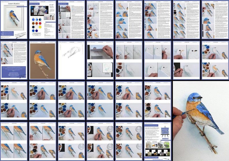 A collage image showing all the pages in the bird painting lesson.  These are laid out in order, and the many photos show the progression of the painting from the first drawing to the finished piece.