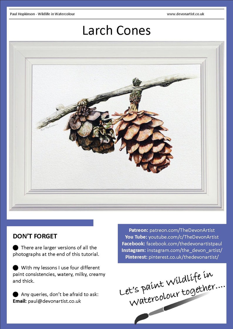 The first page of the lesson, with the finished watercolour project of the cones shown in a white frame.  Below are the links to Patreon, YouTube, Facebook, Instagram and Pinterest.