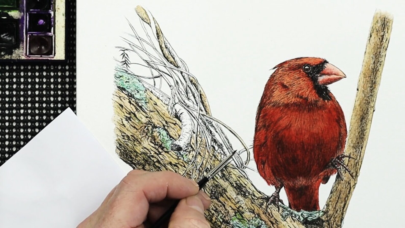 Pen and Wash Bird Painting Tutorial Watercolor Red Cardinal Etsy UK