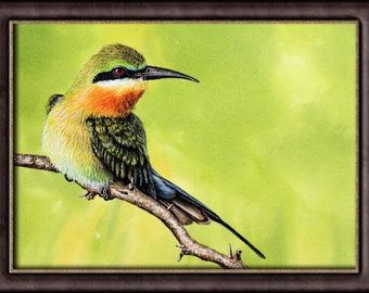 水彩画　キイウイ29×27Cm 水彩画 キイウイ29×27Cm