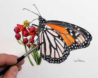 Pen and Watercolor Wash Painting of a Monarch Butterfly, Fine-Art Watercolour Illustration, Realistic Wildlife Study