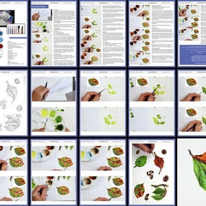 An overview image of the autumn leaf study, showing the different pages, and how they make up the lesson.  The leaf builds in stages, with the finished one shown in the last picture.