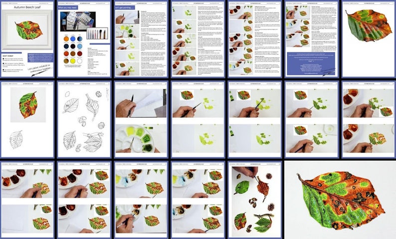 An overview image of the autumn leaf study, showing the different pages, and how they make up the lesson.  The leaf builds in stages, with the finished one shown in the last picture.
