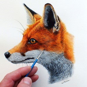 Leren dieren in het wild schilderen in aquarel, een realistische vos in aquarel schilderen, stap voor stap pdf-les, zelfstudie fine art detail, kunst downloaden