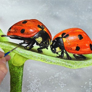 Ladybug original watercolor painting, being finished off by Paul.  Paul is using a tiny brush, and the 2 ladybugs are facing one another on a cup shaped green leaf.  They have vibrant red wing cases, and black spots. They are set against a pale grey.