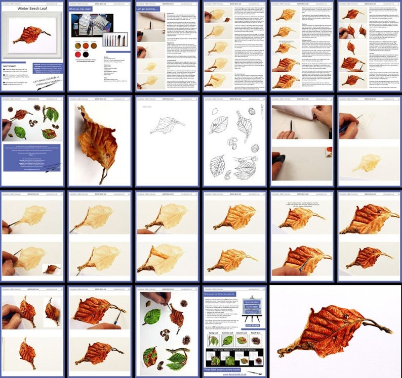A collage of all the pages in this watercolour lesson.  It shows the leaf being built up in stages, and there is written text alongside the photos too.
