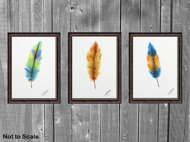 Original Watercolour Feather Paintings, Colourful Watercolor Wall Art, Affordable Art, Feather Art image 2