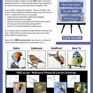 The last page of the lesson with written details regarding the artist's online video tutorials from his online school.  There are also images of the 4 other birds that featured in the painting. A robin, goldcrest, goldfinch and blue tit.