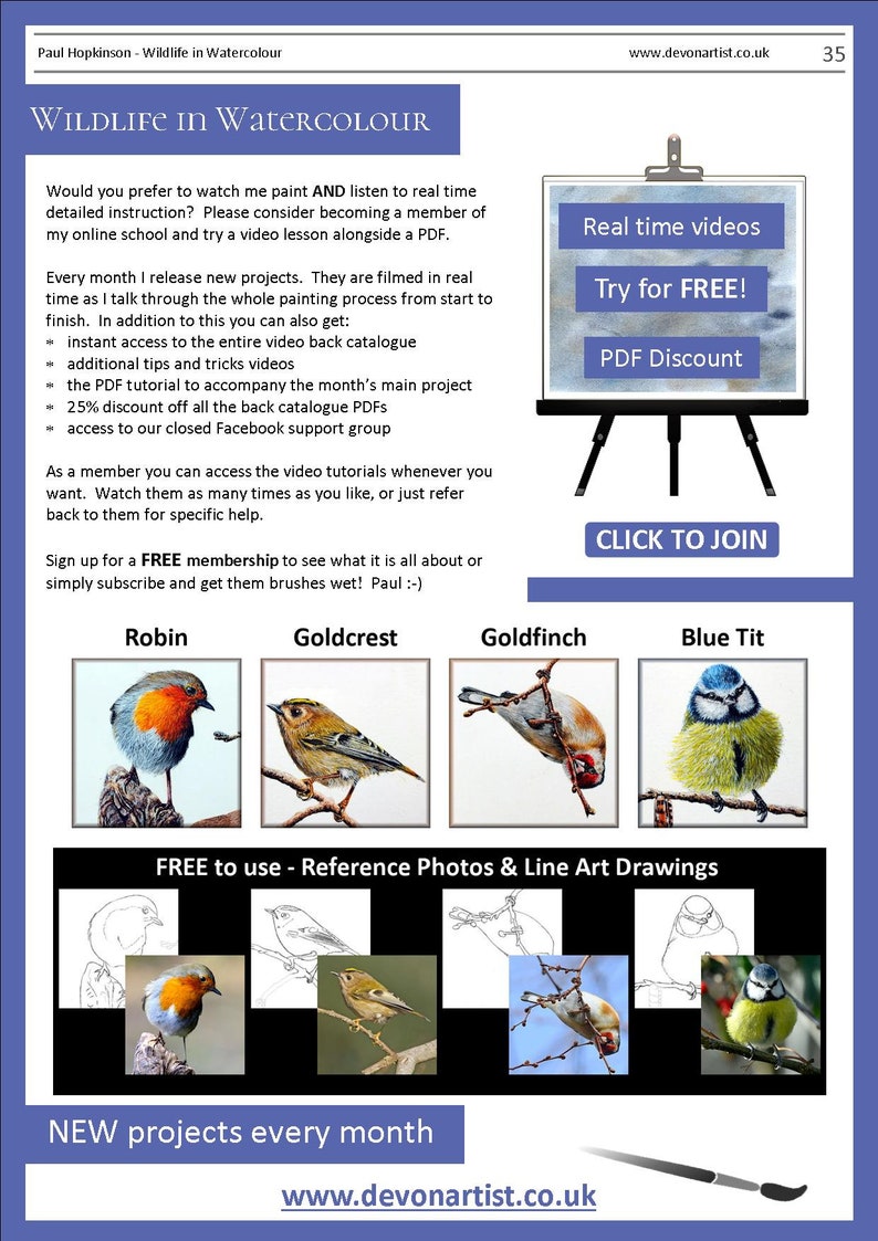 The last page of the lesson with written details regarding the artist's online video tutorials from his online school.  There are also images of the 4 other birds that featured in the painting. A robin, goldcrest, goldfinch and blue tit.