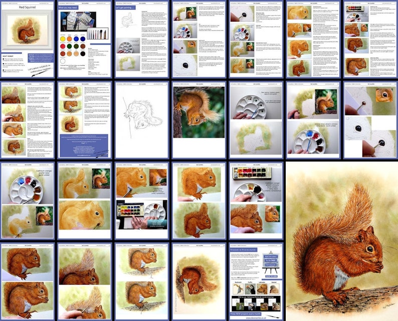 The whole lesson laid out as a collage of the pages.  These start with written instruction alongside photos, and end with the photos enlarged.
