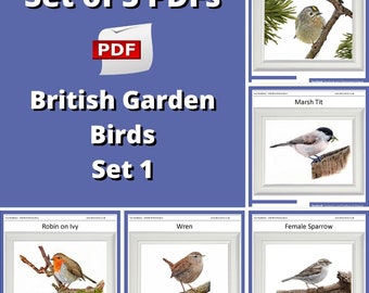Learn to Paint British Garden Birds in Detailed Realistic Watercolour, Downloadable PDF Watercolor Tutorials, Step by Step Art for Beginners