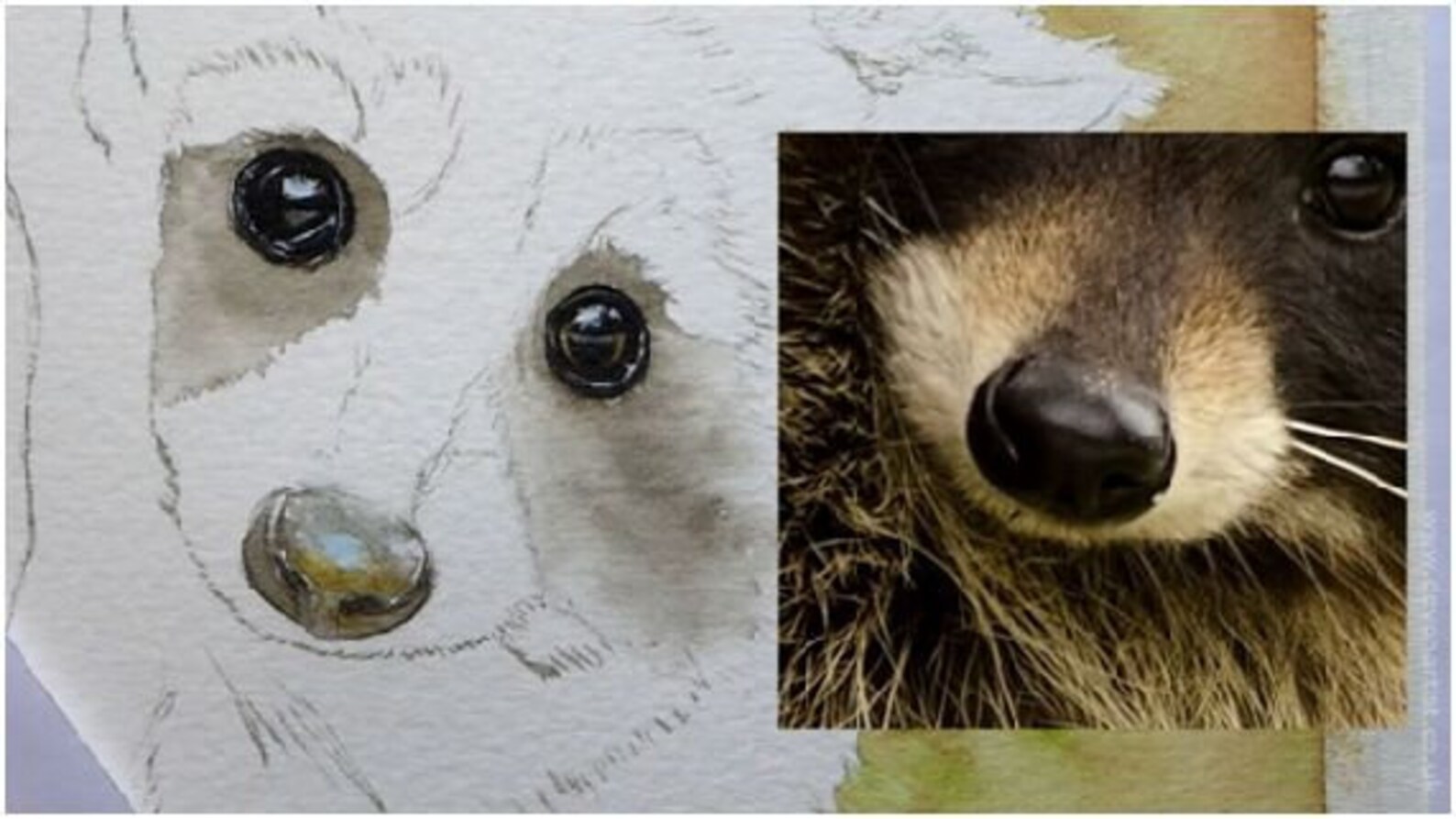 How to Paint Fur in Watercolor Learn to Paint Wildlife in Etsy UK