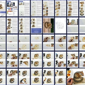 The overview image of the pages in the chipmunk lesson, again laid out to show the progression of the painting in small steps.  With photos and written text, alongside the reference materials.