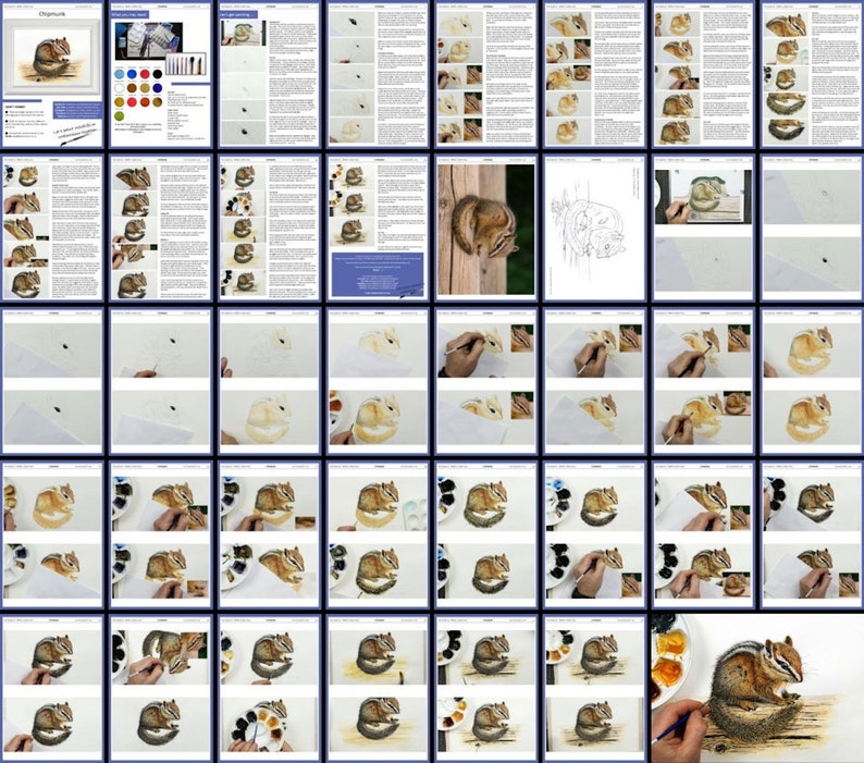The overview image of the pages in the chipmunk lesson, again laid out to show the progression of the painting in small steps.  With photos and written text, alongside the reference materials.