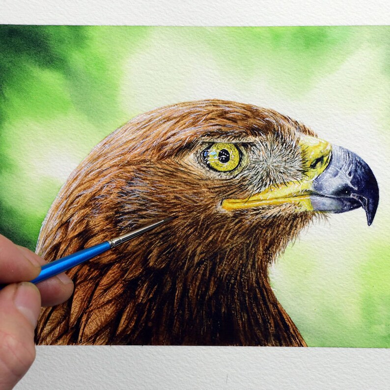 Paul finishing off a highly detailed painting of a Golden Eagle.  The study is focused on the bird's head.  It has a bright yellow eye, grey and yellow beak and rich dark brown feathers.  It is set against a green background.