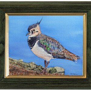 The finished bird painting in a green frame which has a gold trim on the inside edge.