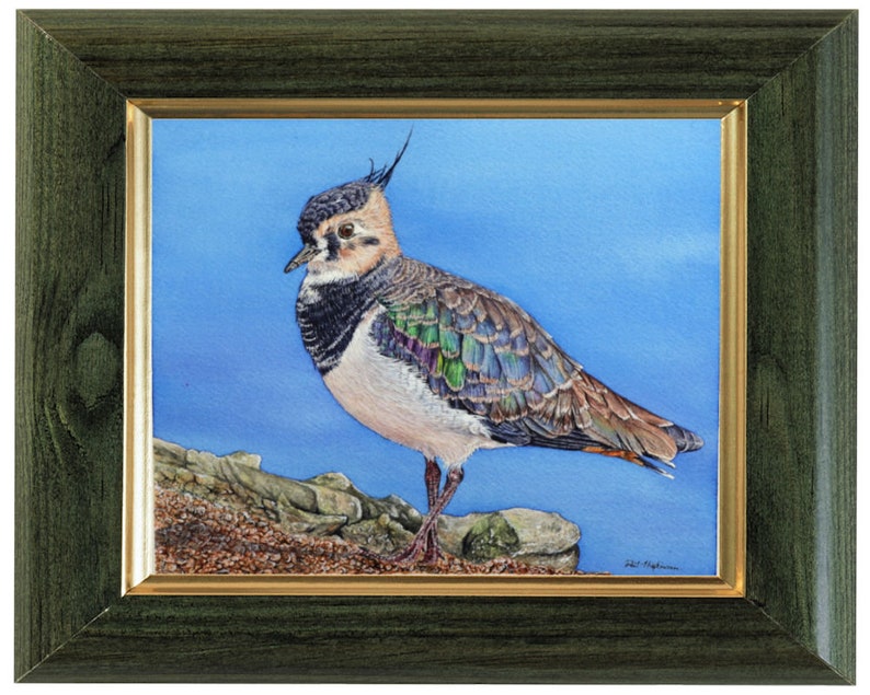 The finished bird painting in a green frame which has a gold trim on the inside edge.