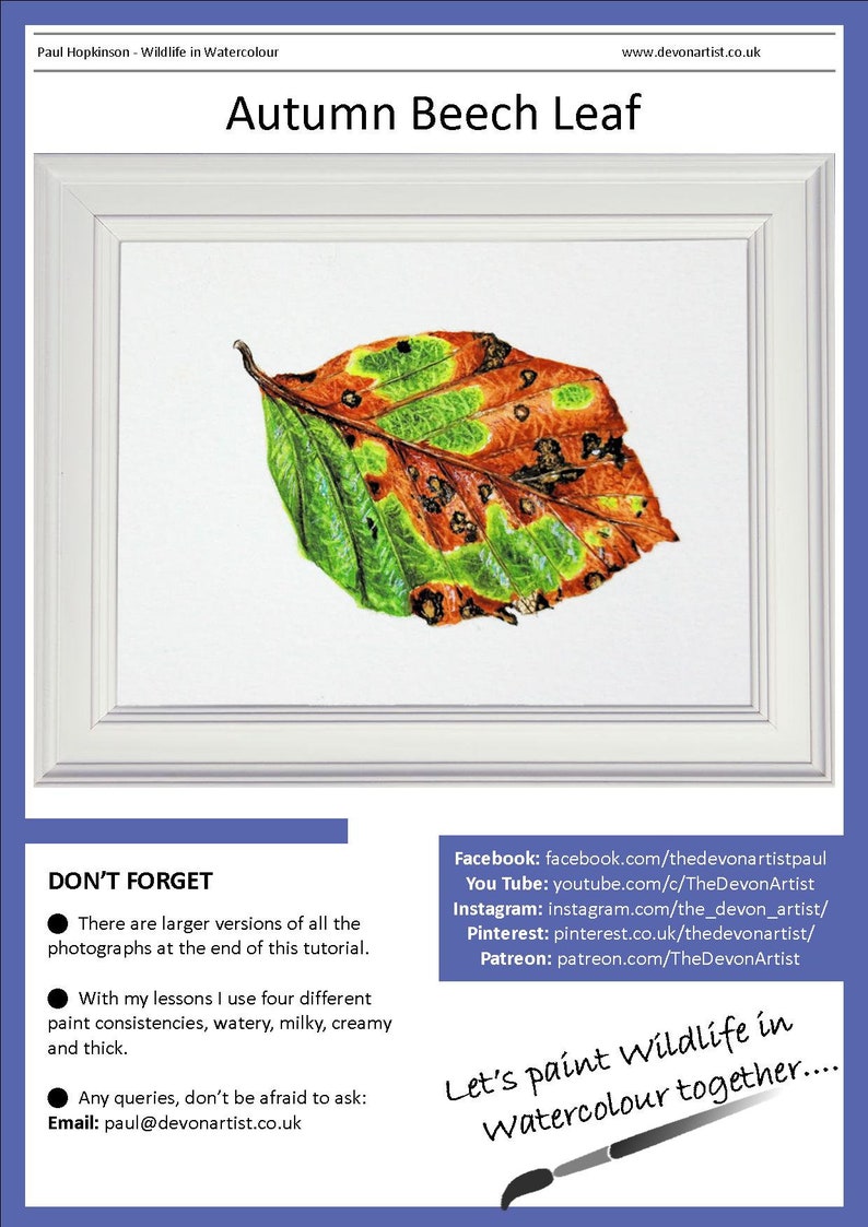 The autumn beech leaf tutorial.  Paul's watercolour painting of the leaf is shown in a white frame, and links to his various online channels are below.
