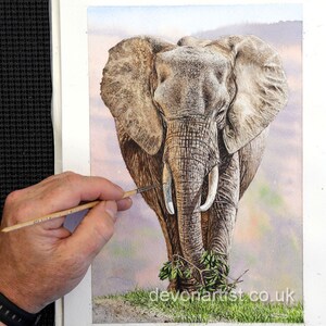 Paul is shown painting an elephant, as it walks forward with leaves held in its trunk.  Behind there is a suggestion of a landscape and hillsides, with a short grassy area in the foreground.  The painting is very detailed.