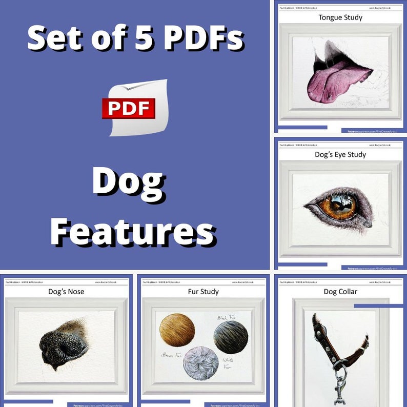 Image showing the front pages of 5 PDFs on Dog Features.  A tongue, eye, collar, fur and nose studies.  Each is painted in fine detail, and looks realistic.