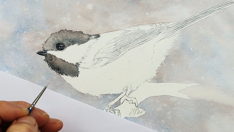 A set of 4 work in progress photos of the chickadee as it is being painted.  In this photo, Paul has painted the tiny black eye, and is applying a wash to the black parts of the head.  The snowy background has already been added.