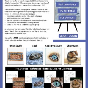The last page of the lesson with images of 4 more pdfs that can be bought.  A brick, seal, cat eye and chipmunk.  There are also written details about an online school with video lessons.