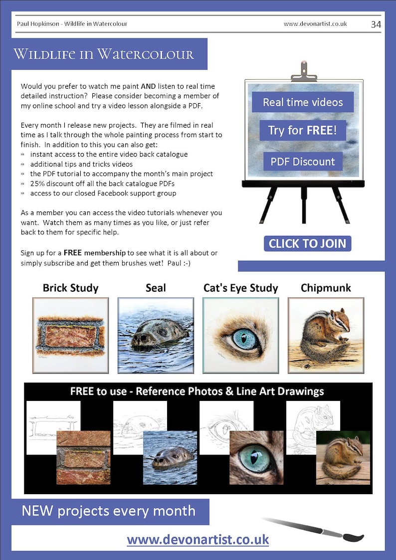 The last page of the lesson with images of 4 more pdfs that can be bought.  A brick, seal, cat eye and chipmunk.  There are also written details about an online school with video lessons.