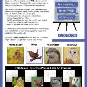 The last page of the lesson, which points people to watercolor video tutorials too.  There are also images of 4 more subjects that can be bought as PDF lessons.  A butterfly, wren, otter and owl.