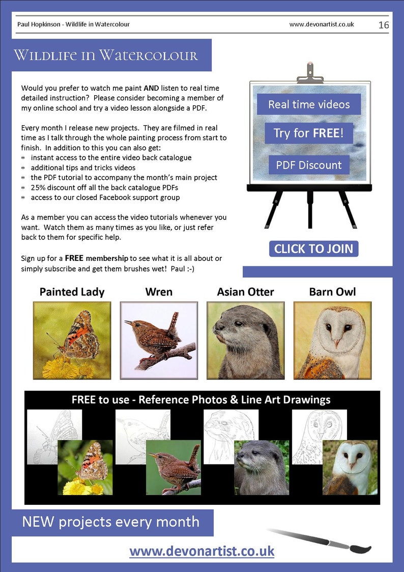 The last page of the lesson, which points people to watercolor video tutorials too.  There are also images of 4 more subjects that can be bought as PDF lessons.  A butterfly, wren, otter and owl.