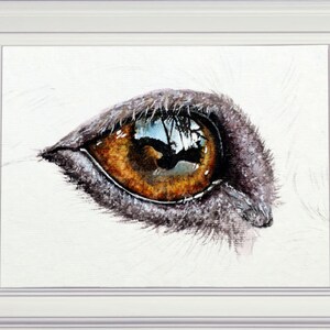 The finished eye painting in a white frame.  The eye is looking to the right, with a large highlighted area to the top with reflections of trees etc.  The eyelid is also painted, this is a pink/ brown colour, whereas the eye is almost amber.