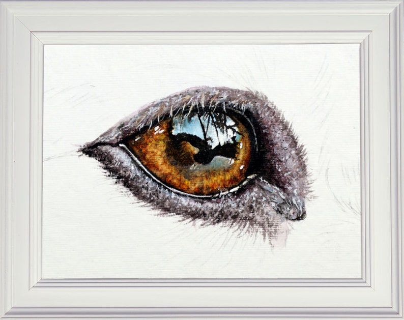The finished eye painting in a white frame.  The eye is looking to the right, with a large highlighted area to the top with reflections of trees etc.  The eyelid is also painted, this is a pink/ brown colour, whereas the eye is almost amber.