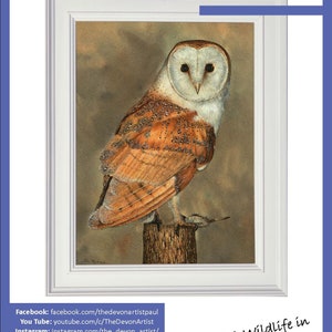 The first page of the lesson, with the finished Barn Owl painting shown in a white frame. The owl has a browny grey background behind it, and the whole bird is in the photo.