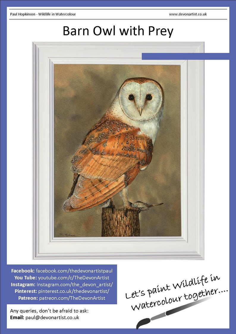 Learn How to Paint PDF Watercolour Owl Tutorial Bird of Prey Etsy UK