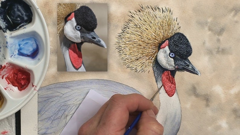 This photo shows Paul working on the fine details within the head of the bird.  He has completed the golden crown which sticks up on top of the bird's head.  The forehead is black, the cheek white, and the two red patches are painted too.