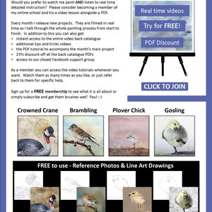 The last page of the watercolour guide.  This details watercolour video lessons that are also available from the seller, alongside 4 other ebooks.  These feature a crane, brambling bird, plover chick and gosling.